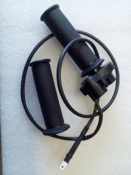 Throttle: ASE-CH1905