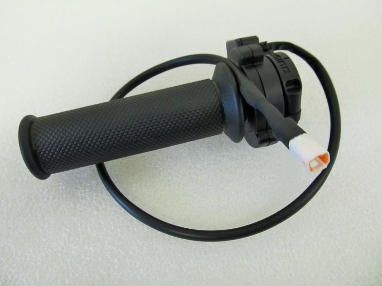 Throttle: ASE-FR1905