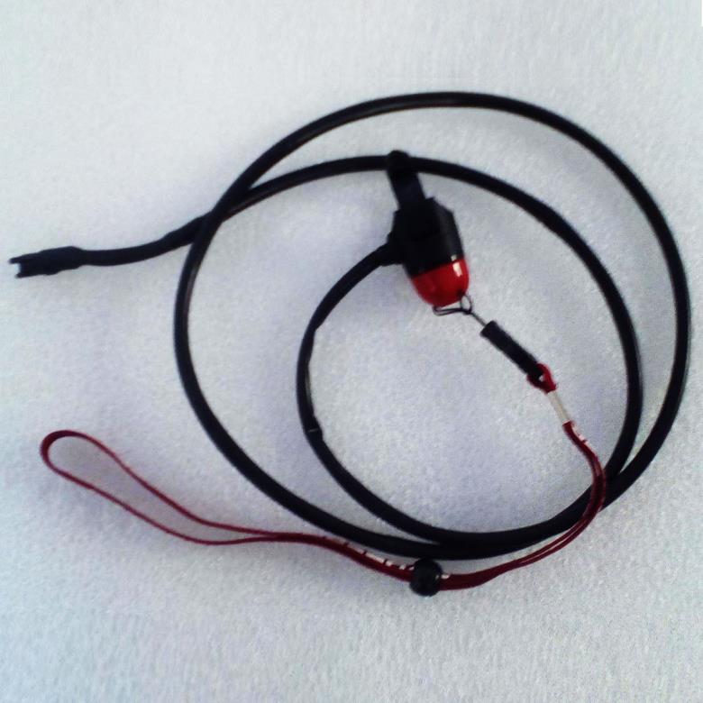 Kill Switch: ASE-CH1904